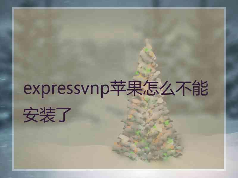 expressvnp苹果怎么不能安装了