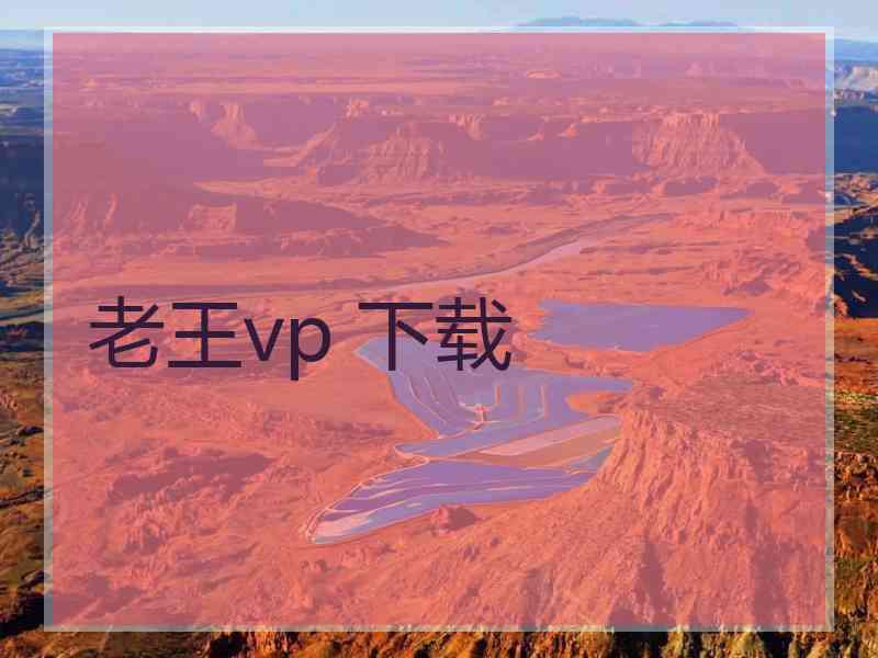 老王vp 下载