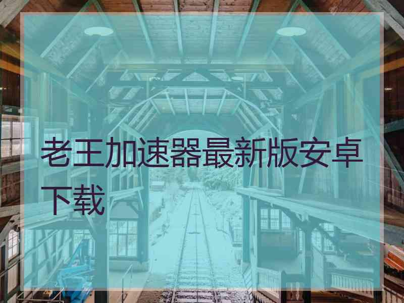 老王加速器最新版安卓下载
