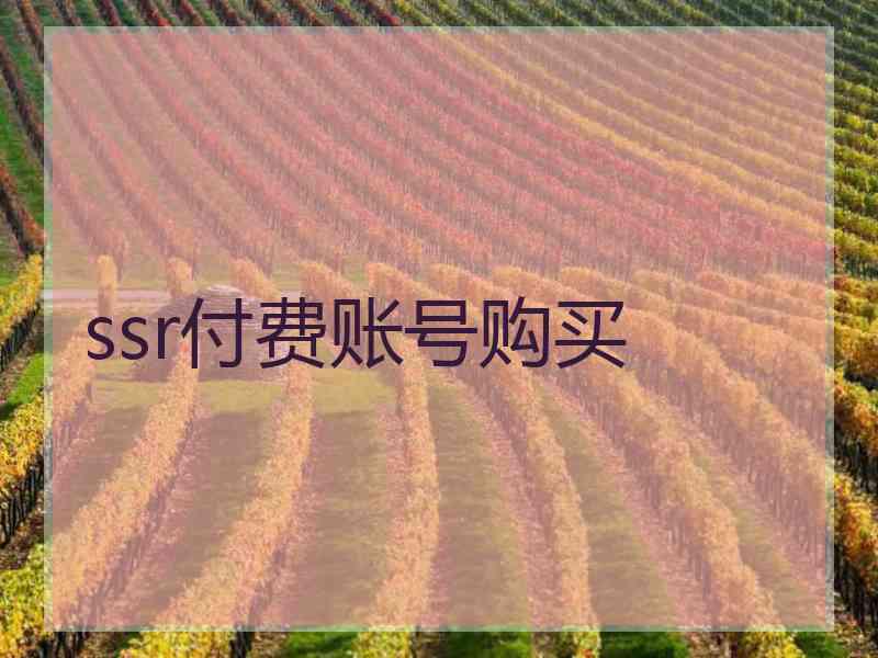 ssr付费账号购买