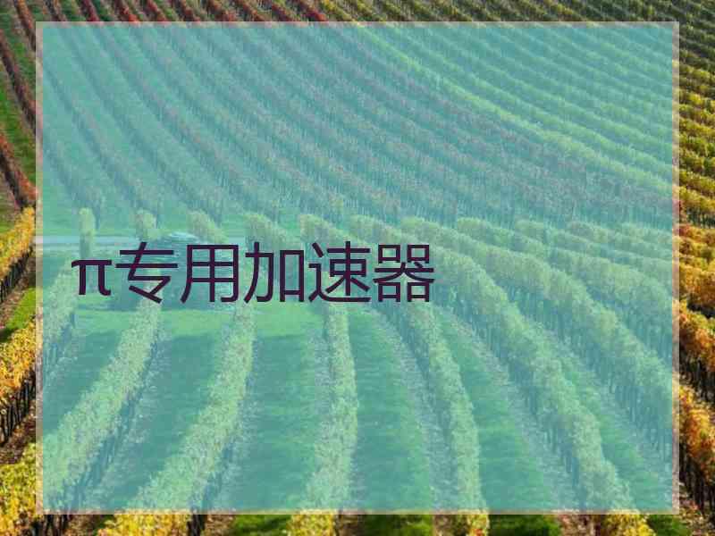 π专用加速器