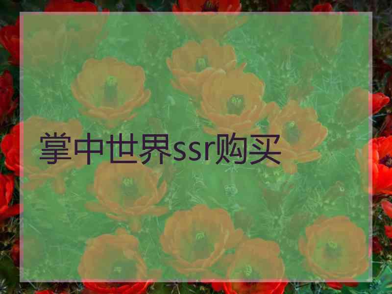 掌中世界ssr购买