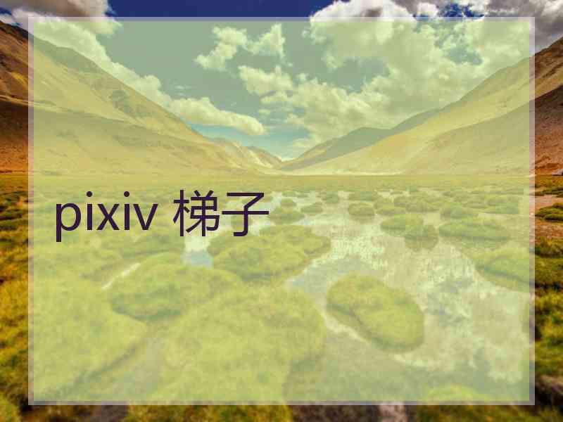 pixiv 梯子