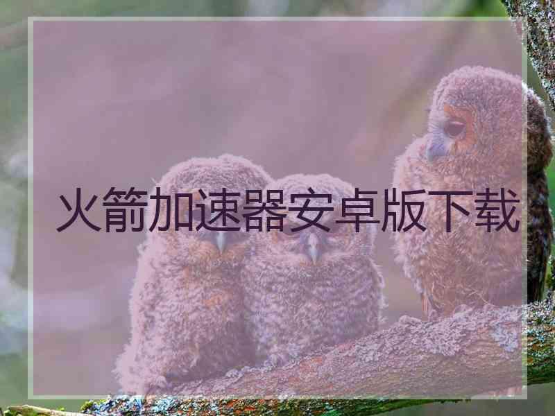火箭加速器安卓版下载