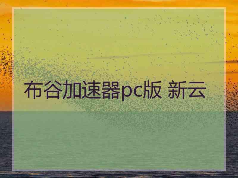 布谷加速器pc版 新云