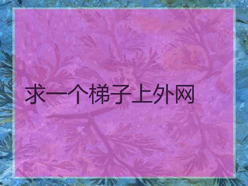求一个梯子上外网