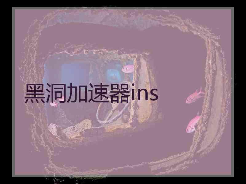 黑洞加速器ins