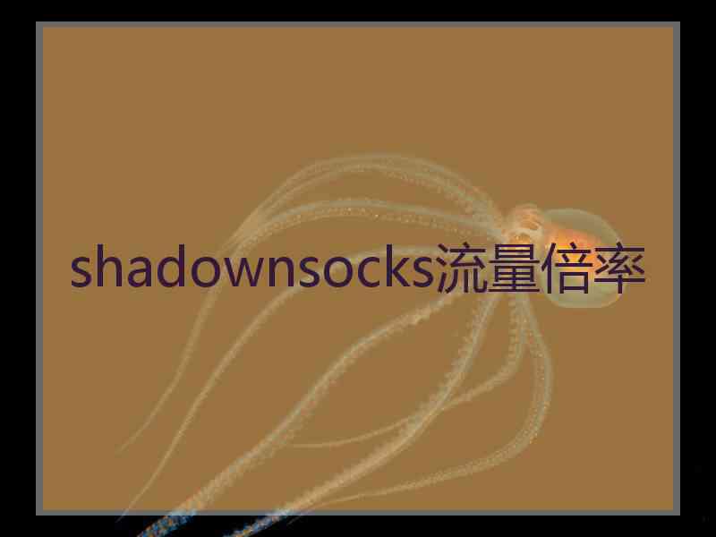 shadownsocks流量倍率