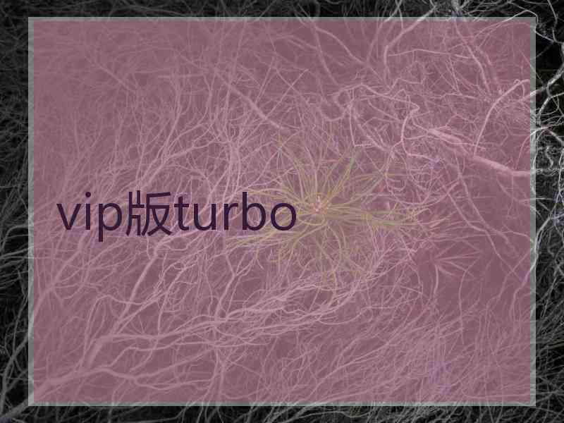 vip版turbo