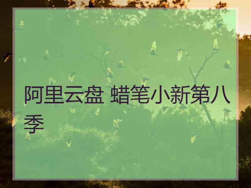 阿里云盘 蜡笔小新第八季