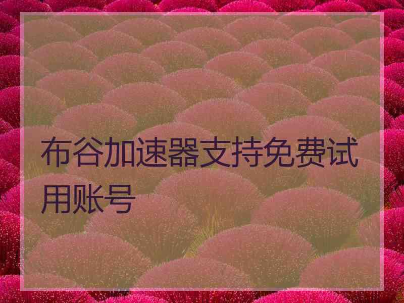 布谷加速器支持免费试用账号