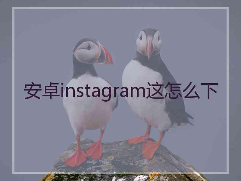 安卓instagram这怎么下