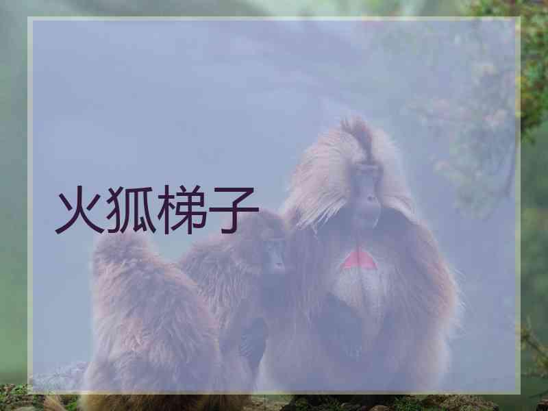 火狐梯子