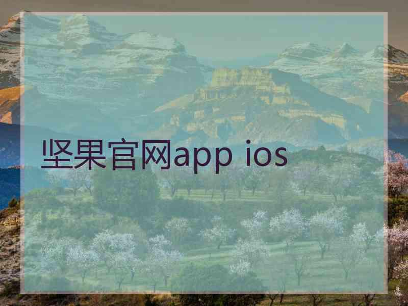 坚果官网app ios