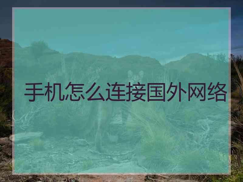 手机怎么连接国外网络