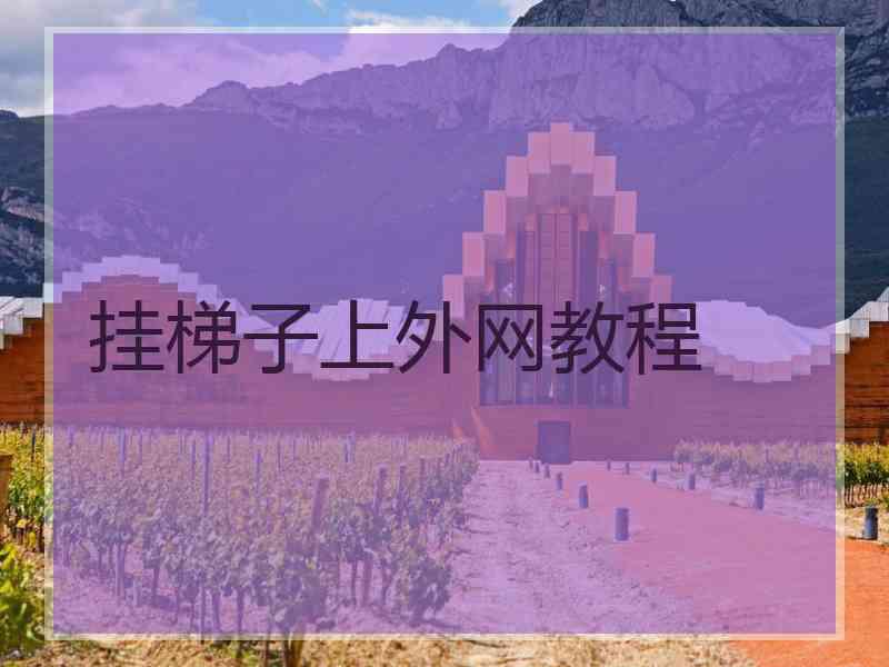 挂梯子上外网教程