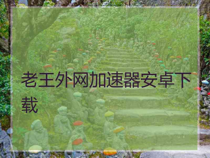老王外网加速器安卓下载
