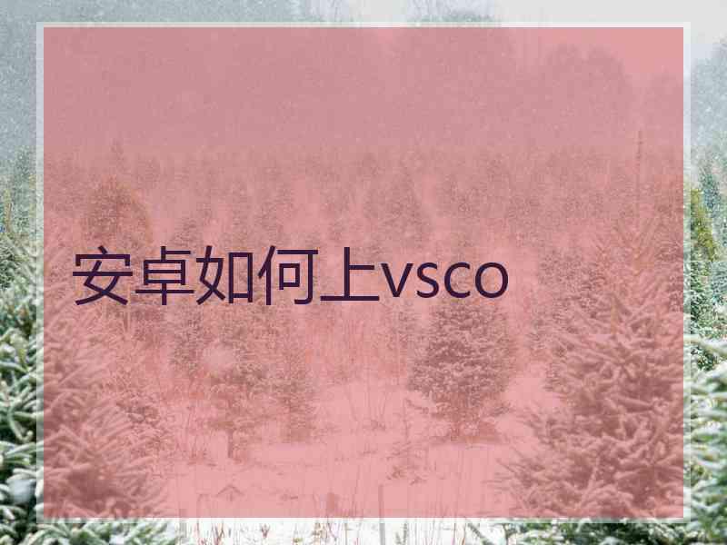 安卓如何上vsco