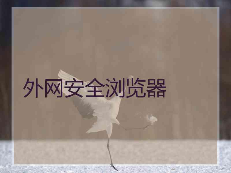 外网安全浏览器