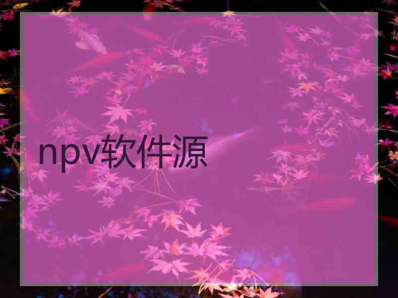 npv软件源