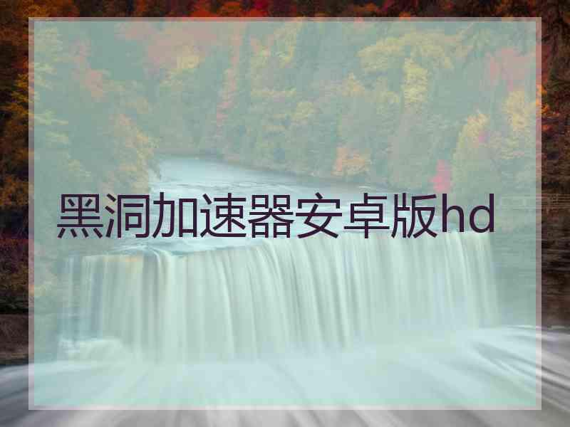 黑洞加速器安卓版hd