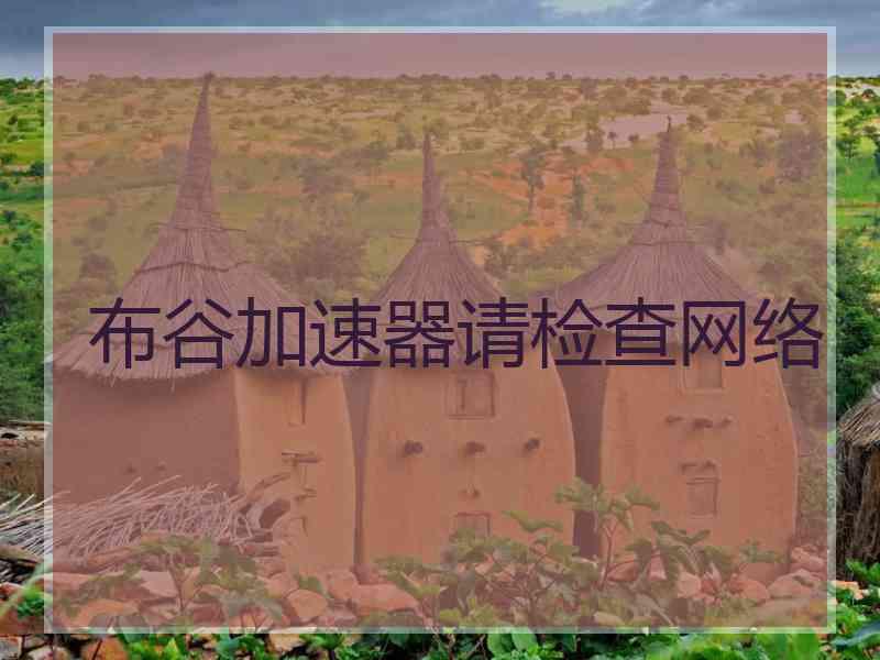 布谷加速器请检查网络