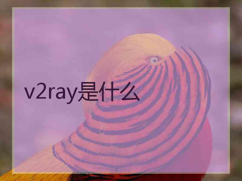 v2ray是什么