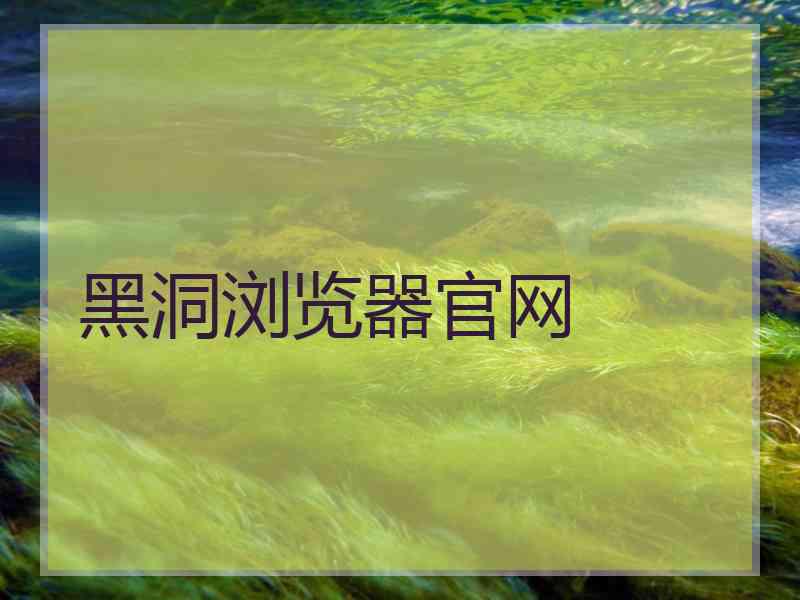 黑洞浏览器官网