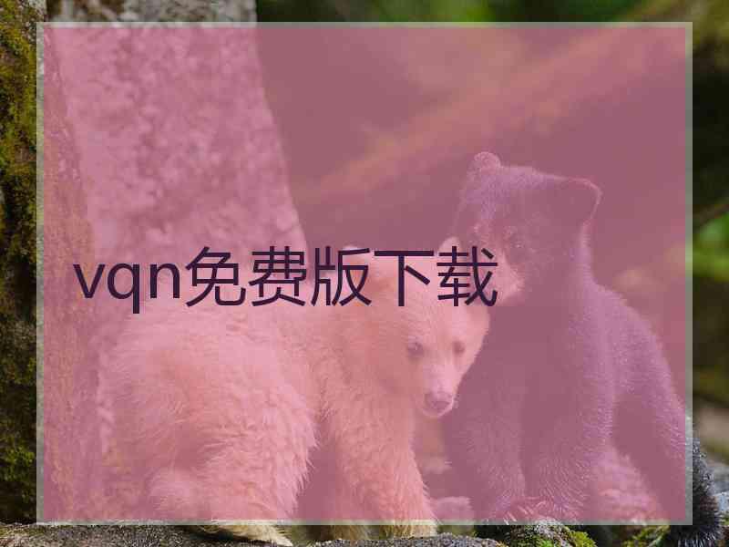 vqn免费版下载