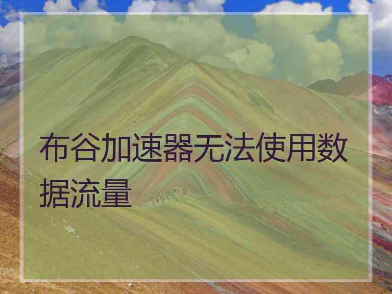 布谷加速器无法使用数据流量