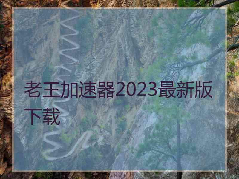 老王加速器2023最新版下载