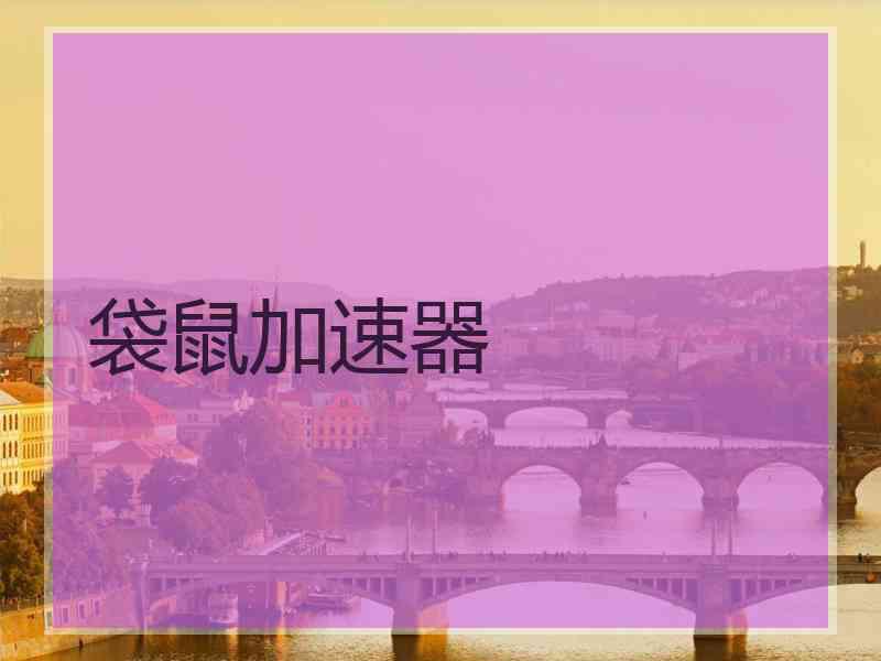 袋鼠加速器