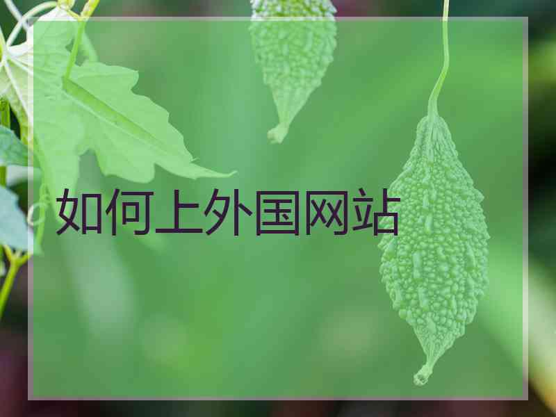 如何上外国网站