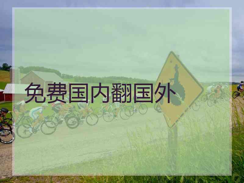 免费国内翻国外