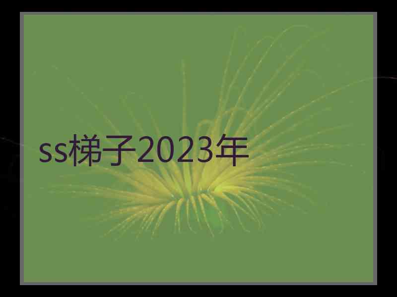 ss梯子2023年