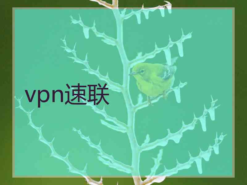 vpn速联
