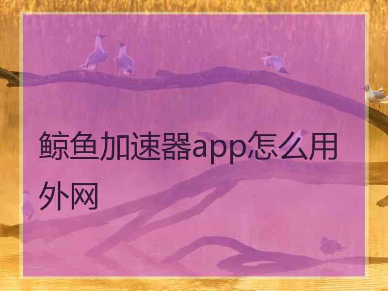 鲸鱼加速器app怎么用外网