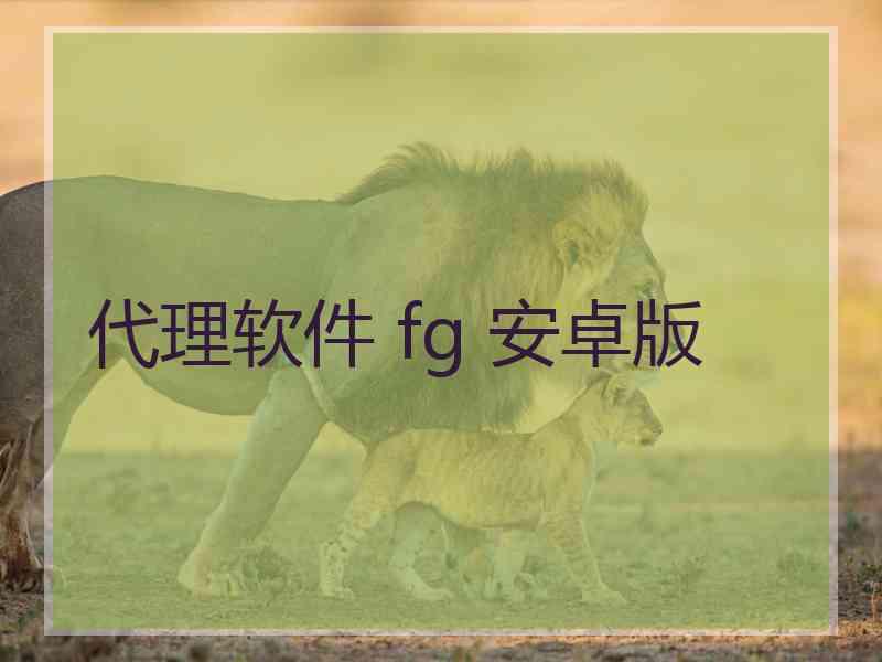 代理软件 fg 安卓版