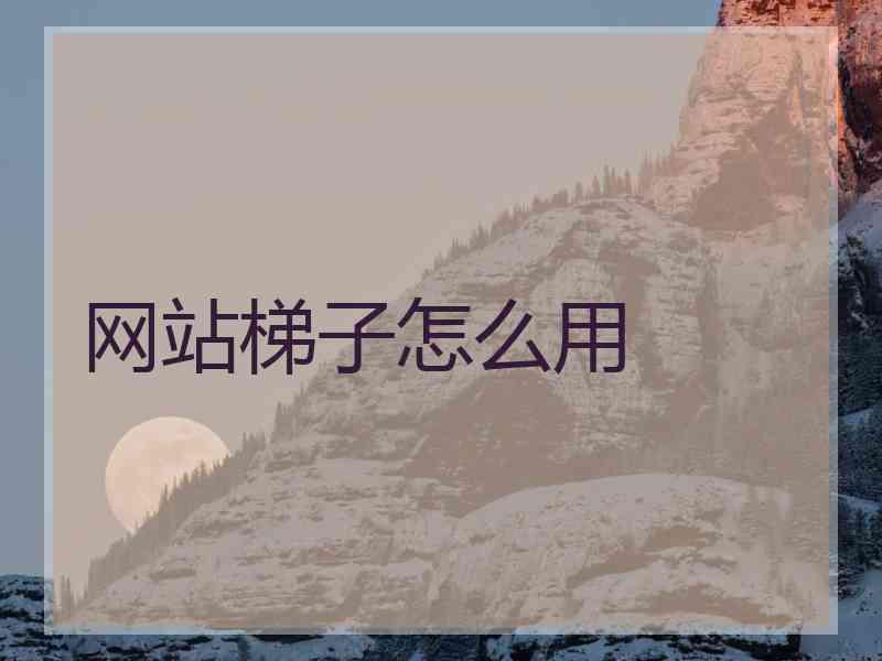 网站梯子怎么用