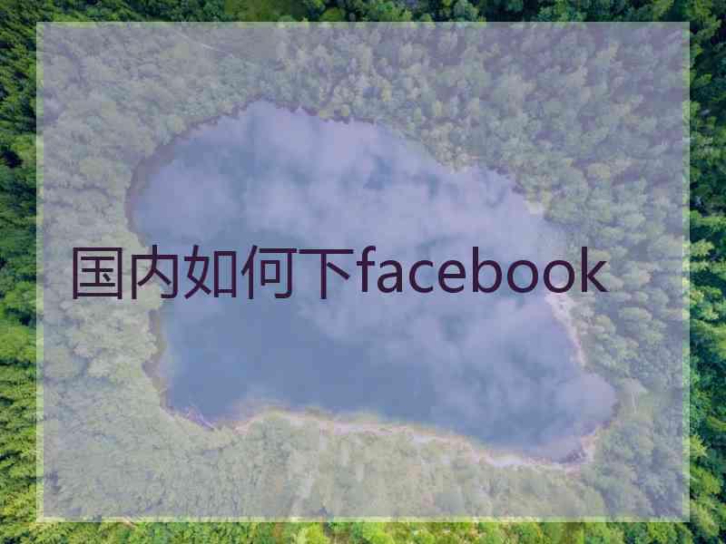 国内如何下facebook