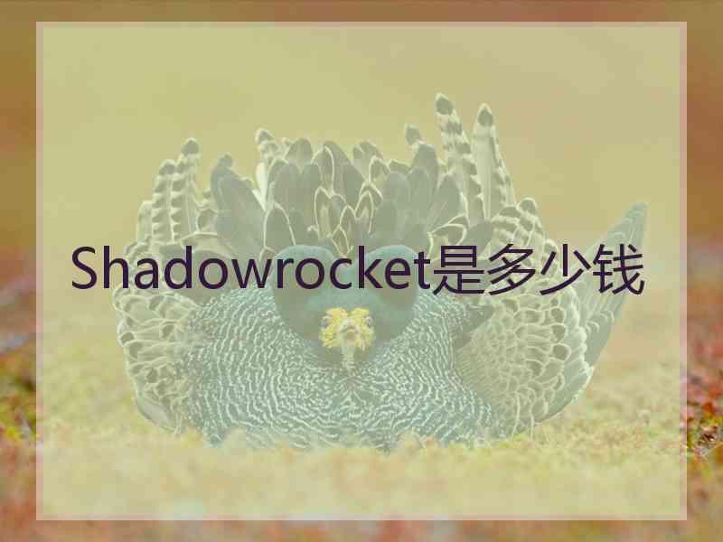 Shadowrocket是多少钱