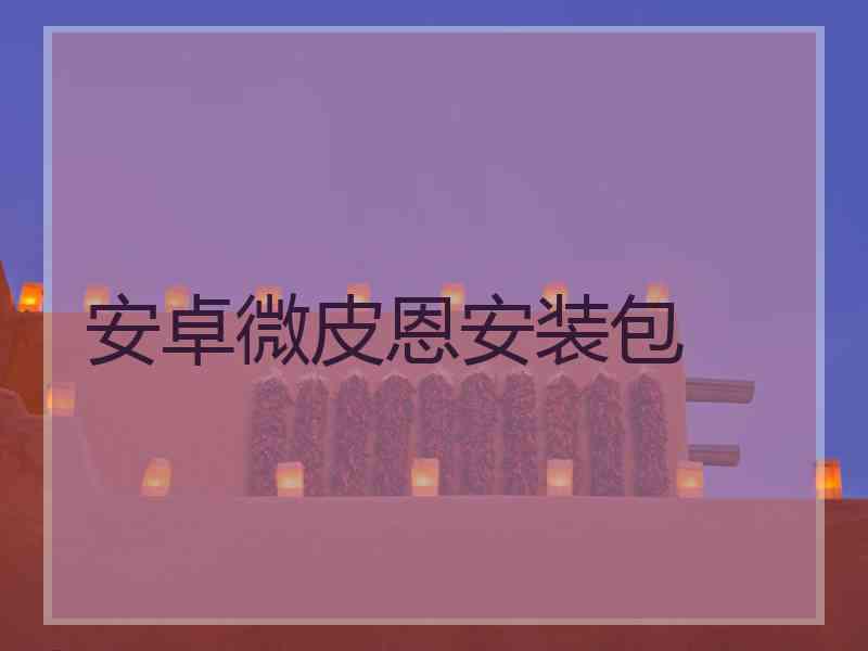 安卓微皮恩安装包