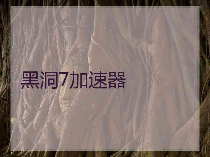 黑洞7加速器