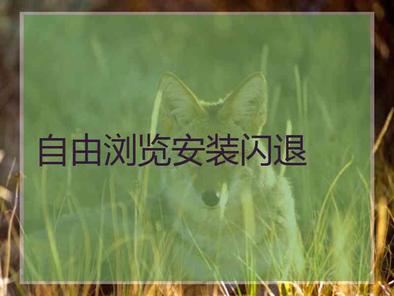 自由浏览安装闪退