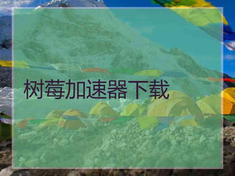 树莓加速器下载