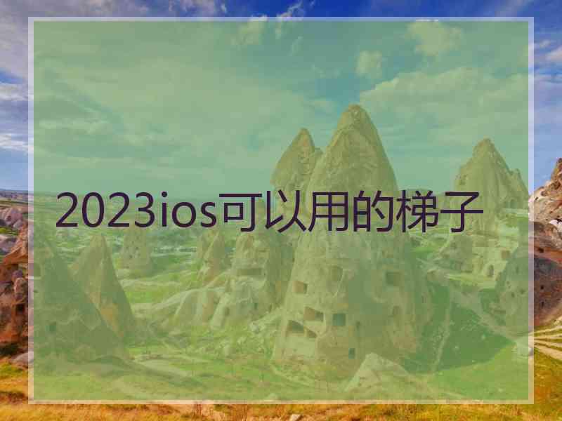 2023ios可以用的梯子