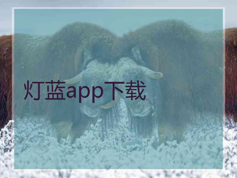 灯蓝app下载