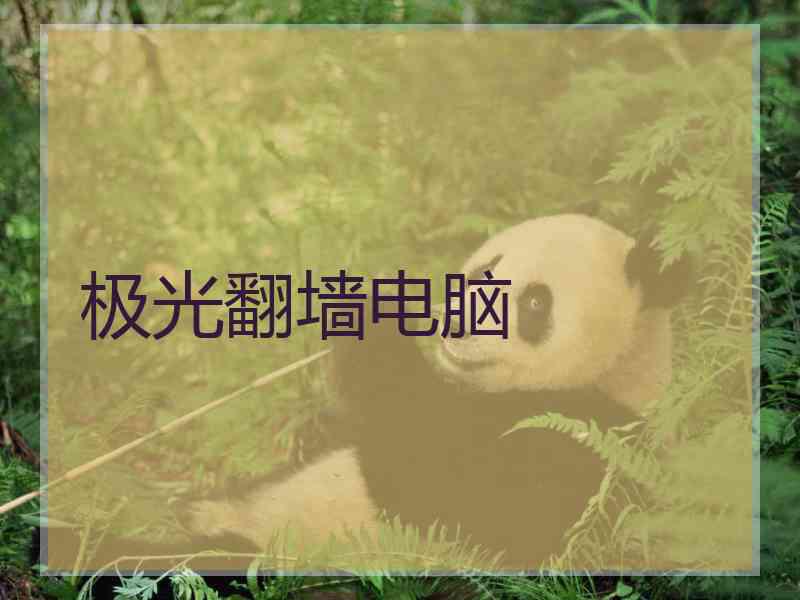 极光翻墙电脑