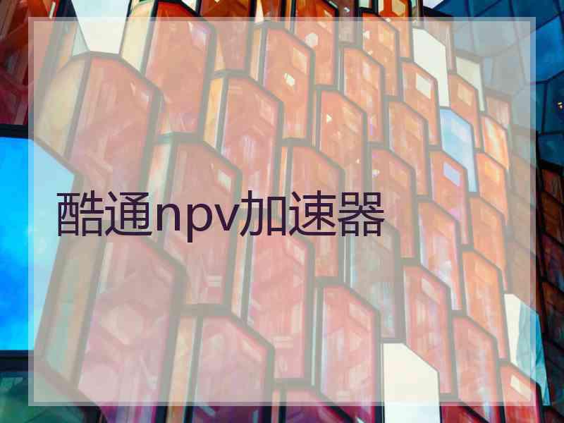 酷通npv加速器