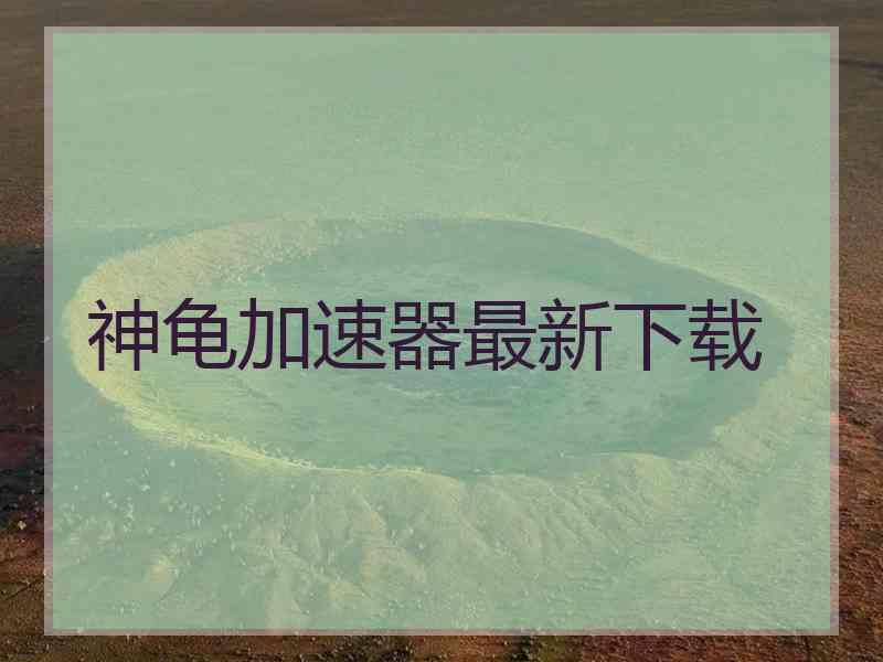 神龟加速器最新下载